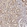 Anti-RNF13 Antibody