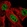 Anti-USP42 Antibody