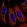 Anti-SMIM5 Antibody
