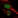 Anti-ARNTL2 Antibody