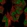 Anti-MPLKIP Antibody