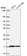 Anti-TMEM133 Antibody