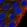 Anti-MKRN2OS Antibody