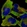 Anti-RANBP1 Antibody