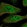 Anti-TXNL4B Antibody
