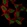 Anti-MIER3 Antibody