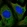 Anti-LDHD Antibody