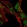 Anti-SLC16A6 Antibody