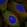 Anti-CEP57 Antibody