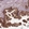 Anti-PLIN3 Antibody
