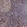 Anti-DOK2 Antibody