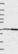 Anti-CLN6 Antibody
