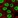 Anti-PRPF3 Antibody