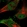 Anti-MYSM1 Antibody