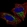 Anti-S1PR4 Antibody