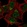 Anti-TBC1D14 Antibody
