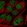 Anti-GMEB2 Antibody