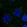 Anti-PSEN1 Antibody