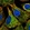 Anti-MTUS1 Antibody