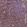 Anti-S100A4 Antibody