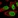 Anti-SPIN1 Antibody