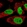 Anti-SPIN1 Antibody