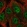 Anti-CPSF1 Antibody