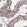Anti-TOE1 Antibody