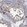 Anti-PTPN20 Antibody