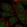 Anti-ERCC2 Antibody