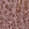 Anti-PIK3R2 Antibody
