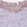 Anti-EPPK1 Antibody