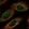 Anti-DUSP1 Antibody