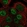 Anti-ANP32B Antibody