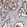 Anti-ARHGAP8 Antibody