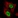 Anti-TCERG1 Antibody
