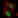 Anti-TCERG1 Antibody