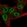 Anti-CNOT11 Antibody