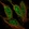 Anti-AFF1 Antibody
