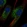 Anti-OMD Antibody