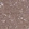 Anti-TAB2 Antibody