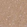 Anti-TSPAN7 Antibody
