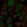 Anti-ODAM Antibody