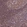 Anti-INPP5D Antibody