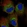 Anti-HDLBP Antibody