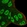 Anti-ATXN1 Antibody