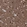 Anti-DLG4 Antibody