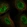 Anti-DDX5 Antibody