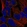 Anti-MTOR Antibody
