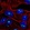 Anti-ACTR10 Antibody